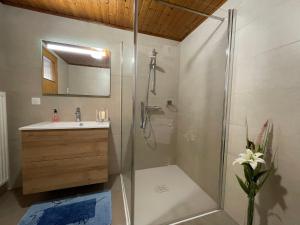 y baño con ducha y lavamanos. en Apartment Résidence jaune et rose-4 by Interhome en Marckolsheim