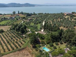 an aerial view of a vineyard with a house and the water at Villa Casale dei tigli by Interhome in San Feliciano