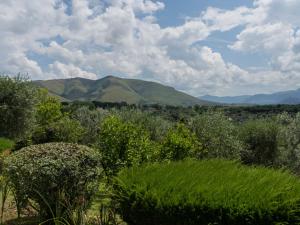 una vista de un campo con montañas en el fondo en Holiday Home Olive Grove Sabina by Interhome, en Canneto