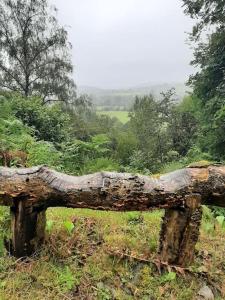 Gallery image of Y Smithy in Llanybydder +14 photos