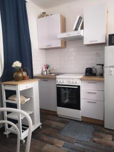 Kuchyň nebo kuchyňský kout v ubytování Apartman studio Otium