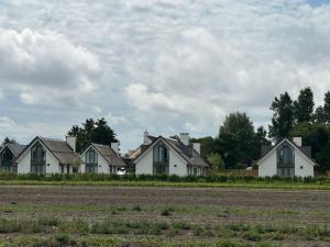 ノールトウェイケルハウトにあるHoliday Home de Witte Raaf-2 by Interhomeの田前家屋列