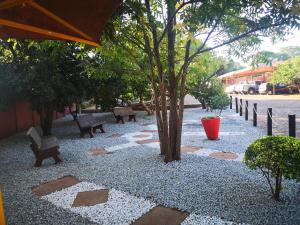 Sleep 'n Go Guesthouse外面的花园