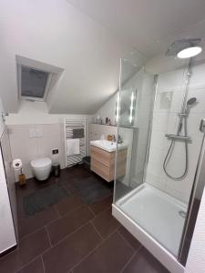 a bathroom with a shower and a toilet and a sink at Wohlfühl Apartment in Wendelstein