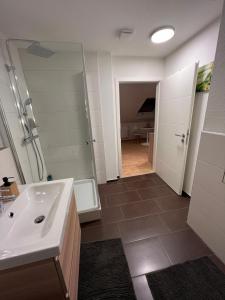 a bathroom with a sink and a shower and a mirror at Wohlfühl Apartment in Wendelstein