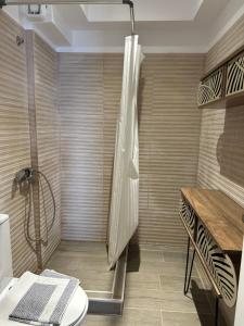 a bathroom with a shower with a toilet and a sink at Afytos sea view in Afitos