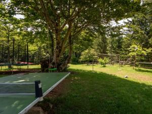 um campo de ténis num parque com uma árvore em Holiday Home Legendao by Interhome em Lukovo