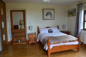 a bedroom with a bed and a dresser and a mirror at Carrick Cove Deluxe Room with private decking in Annalong