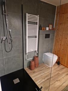 a bathroom with a shower and a toilet at La tavernetta in Incisa in Valdarno