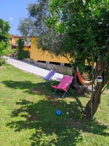 een paar stoelen in een tuin naast een boom bij Casa Matreiro in Proselo