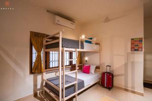 Zostel Kochi (Ernakulam)客房内的一张或多张床位