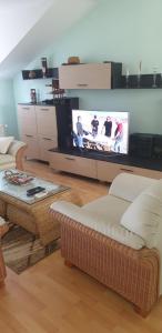 ein Wohnzimmer mit einem Sofa und einem TV in der Unterkunft GIGA APARTMAN in Jagodina