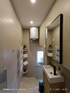 een badkamer met een wastafel en een spiegel bij Apartment Tami with Swimming pool in Lovran