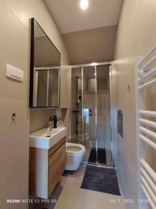 een badkamer met een toilet, een wastafel en een douche bij Apartment Tami with Swimming pool in Lovran