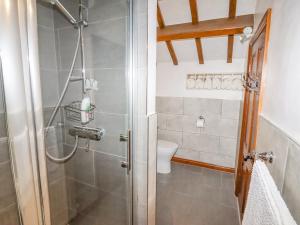 une salle de bain avec douche et toilettes dans l'établissement The Little White Cottage, à Llanferres