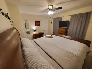 a bedroom with a bed and a ceiling fan at Room Near Downtown UofL,Airport&ExpoCenter in Louisville +3 photos