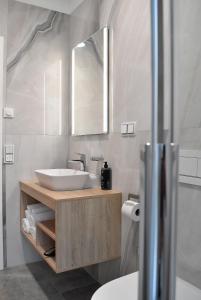 a bathroom with a sink and a mirror at Hotel am Waldkasino in Erfurt