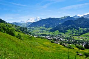 a green valley with mountains in the background at Studio avec balcon amenage a Praz sur Arly in Praz-sur-Arly