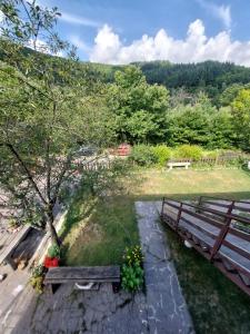 a park with two benches and a tree at Lago Ballano 