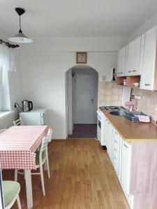 a kitchen with white cabinets and a table with a sink at Apartmán se zahradou in Krnov