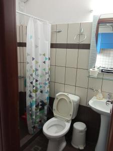 ein Bad mit einem WC und einem Waschbecken in der Unterkunft Studio Nikol koutsoupia in Kókkinon Nerón