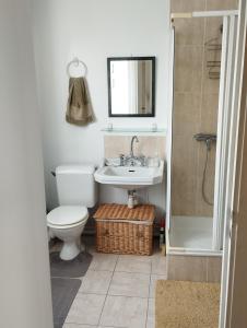 a bathroom with a toilet and a sink and a shower at VOLONTAIRES EIFFEL TOWER PARIS in Paris