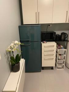 Η κουζίνα ή μικρή κουζίνα στο Nice apartment 15 min to Oslo center Free parking