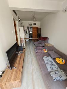 Televiisor ja/või meelelahutuskeskus majutusasutuses Cosy flat next to beach