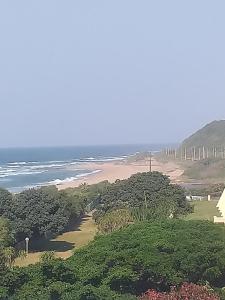 a view of a beach with trees and the ocean at Afsaal 410 Holiday flat in Amanzimtoti +6 photos