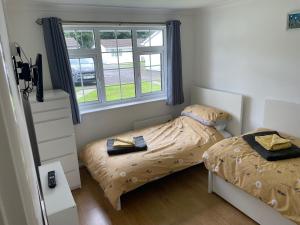 a bedroom with two beds and a window at Bumble Bee Lodge in Liskeard
