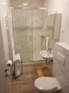 uma casa de banho com um chuveiro, um WC e um lavatório. em Lake house em Zagreb
