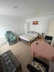 ein Wohnzimmer mit einem Bett und einem Stuhl in der Unterkunft Grand studio pour 1 ou 2 personnes in Schiltigheim