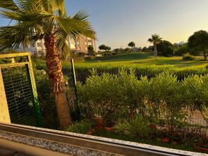 アシラにあるMarina golf ASSILAH vue verteのゴルフコースのある庭のヤシの木 +8枚の写真