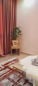 ein Wohnzimmer mit einem Tisch und einer Topfpflanze in der Unterkunft Relax view apartment in Madinat as-Sadis min Uktubar
