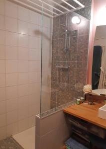 uma casa de banho com um chuveiro e uma porta de vidro em Charmant 2 pièces, parking privé em Bagnolet
