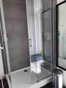 een douche met een glazen deur in de badkamer bij Suite met eigen douche, toilet, kitchenette in Kolhorn