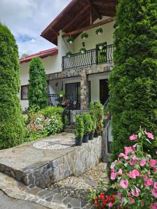 a house with plants and flowers on a stone path at Casa Alba in Borşa