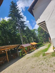 Gallery image of Cabana Valea Bradului in Nucşoara