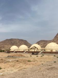 um grupo de cúpulas num deserto com montanhas ao fundo em Bilal luxury camp em Wadi Rum