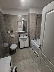 a bathroom with a sink and a toilet and a tub at New Apartament Baia Mare 35 in Baia Mare