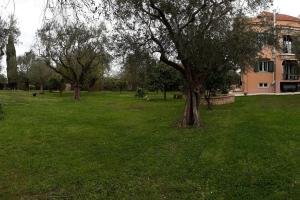 Galeriebild der Unterkunft Villa Sofia in Acharavi