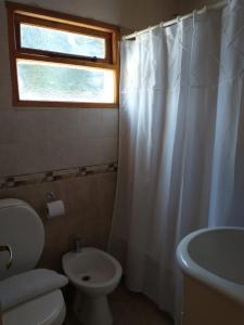 a bathroom with a toilet and a sink and a window at Departamento en Junin de Los Andes in Junín de los Andes