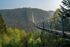 a suspension bridge in the middle of a mountain at Fewo Lora in Blankenrath