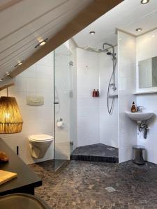La salle de bains est pourvue d'une douche, de toilettes et d'un lavabo. dans l'établissement Woonboerderij Markelo, à Markelo