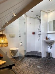 een badkamer met douche, toilet en wastafel bij Woonboerderij Markelo in Markelo +11 foto's