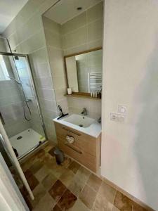 La salle de bains est pourvue d'un lavabo, d'une douche et d'un miroir. dans l'établissement Le Galibot, à Saint-Pierre-la-Palud