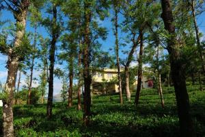 a house in the middle of a forest of trees at The Forest Resort - Muneeswaramudi Eco Hermitage and Farms in Tindummal