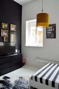 ein Schlafzimmer mit einem TV und einer schwarzen Wand in der Unterkunft Stúdió apartman in Szigetvár