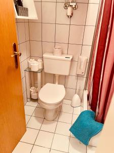 Elle comprend une petite salle de bains pourvue de toilettes et d'un tapis bleu. dans l'établissement Ferienwohnung mit großem Balkon, à Feistritz im Rosental