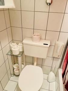 a white bathroom with a toilet and towels at Ferienwohnung mit großem Balkon in Feistritz im Rosental